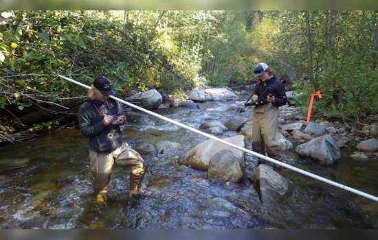 Scientists Forge Through Washington Wilderness to Monitor Watershed Health Amid Summer Heat