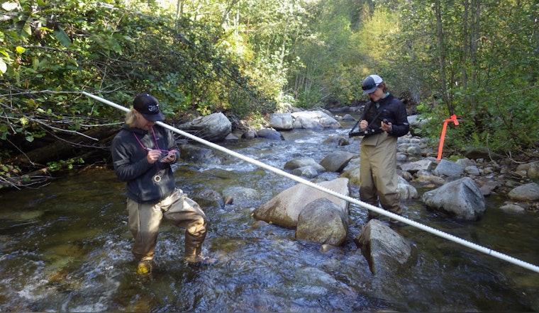 Scientists Forge Through Washington Wilderness to Monitor Watershed Health Amid Summer Heat