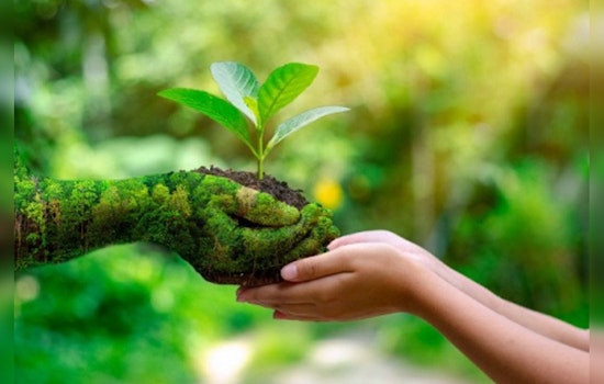 Scott County Hosts Free Mother's Day Hiking and Arts Event at Murphy-Hanrehan Park Reserve