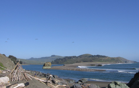 Search Continues for 10-Year-Old Boy Swept Away in Russian River Near Forestville