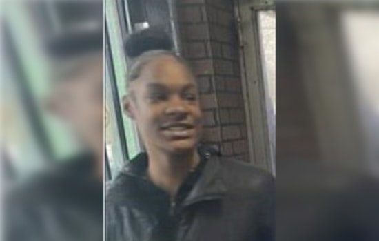 Search Intensifies for Missing 16-Year-Old Brianna Blake in Chicago's South Side