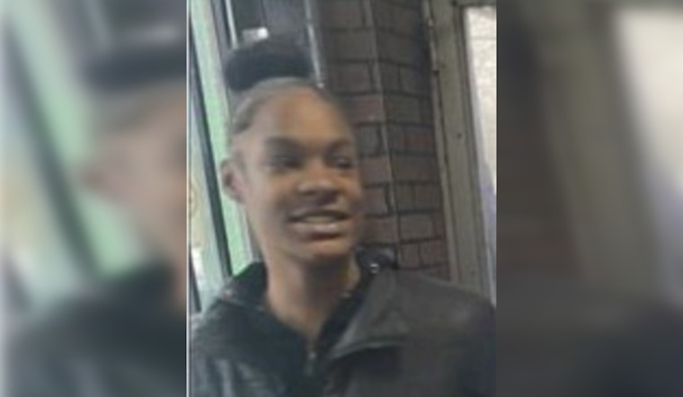 Search Intensifies for Missing 16-Year-Old Brianna Blake in Chicago's South Side
