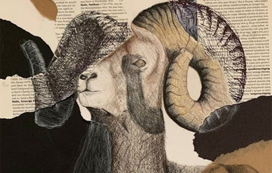 Seattle Art Museum Celebrates Young Talent with Naramore Art Show Exhibit and Virtual Gallery