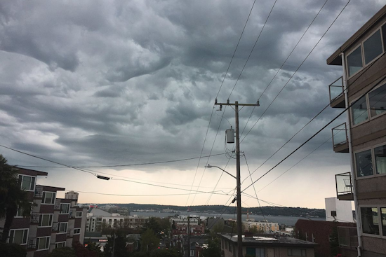 Seattle Gears Up for Showers and Thunderstorms with Mild Temperatures Predicted This Week
