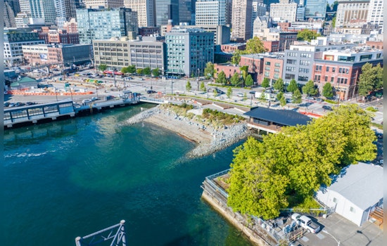 Seattle's Waterfront Park hailed for eco-friendly overhaul, enhancing Elliott Bay's Marine Habitat as Earth Month Ends