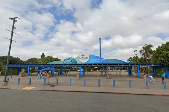 SeaWorld San Diego Splashes into National Dolphin Day With Education and Interactive Fun