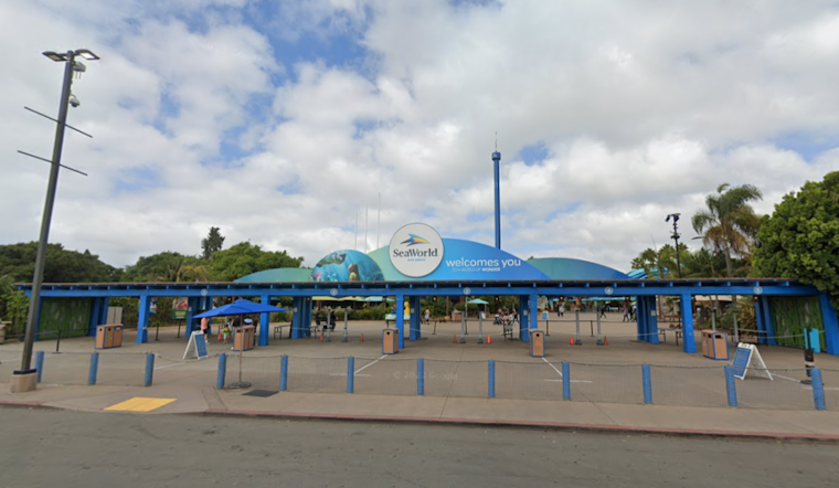 SeaWorld San Diego Splashes into National Dolphin Day With Education and Interactive Fun