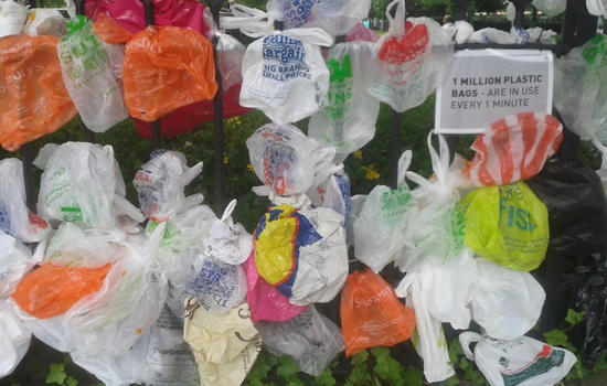 Senator Blakespear Advances Bill Targeting Plastic Bag Loophole in California Senate Committee