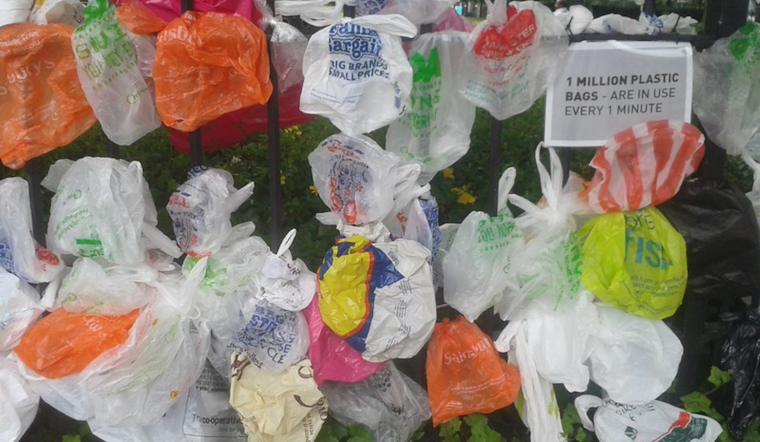 Senator Blakespear Advances Bill Targeting Plastic Bag Loophole in California Senate Committee