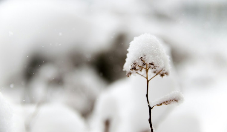 Snow Showers and Biting Winds in Store for East Tennessee, Knoxville Braces for Chilly Weekend