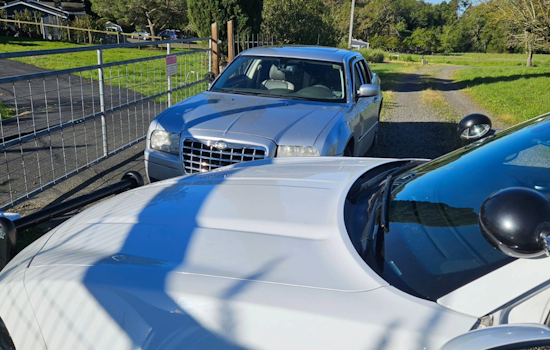 Sonoma County Deputies Arrest Two After Home Burglary in Rohnert Park, Live Snake Found at Scene