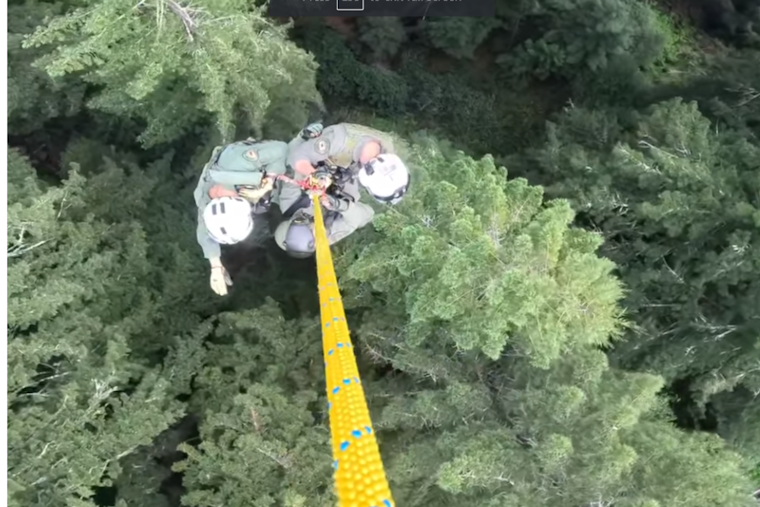 Sonoma County Sheriff's Helicopter Pulls Injured Motorist from Mt. Tam Ravine in Dramatic Cliff-Side Operation