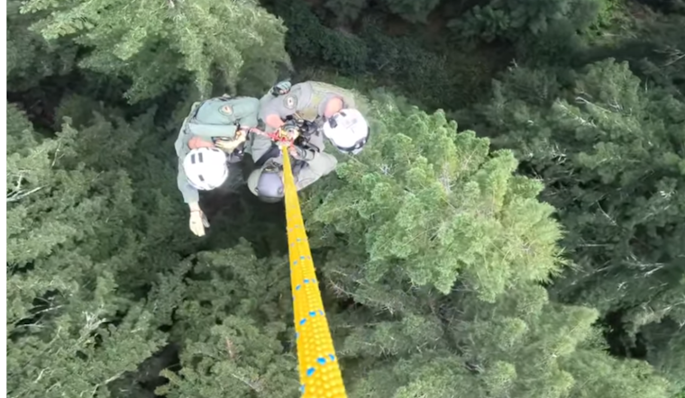 Sonoma County Sheriff's Helicopter Pulls Injured Motorist from Mt. Tam Ravine in Dramatic Cliff-Side Operation