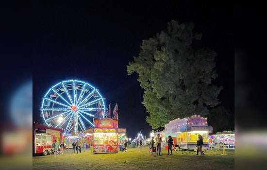 Southaven Spring Fest Shut Down, Child Trampled Amid Brawl Involving Unsupervised Youths