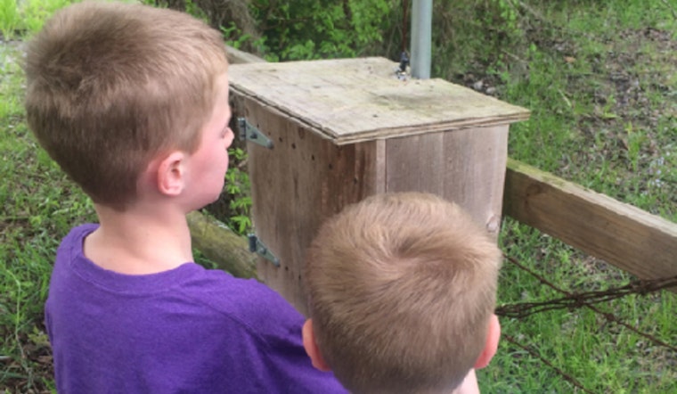 Spring Lake Regional Park to Host Family-Friendly Geocaching Adventure Celebrating Minnesota's Insects