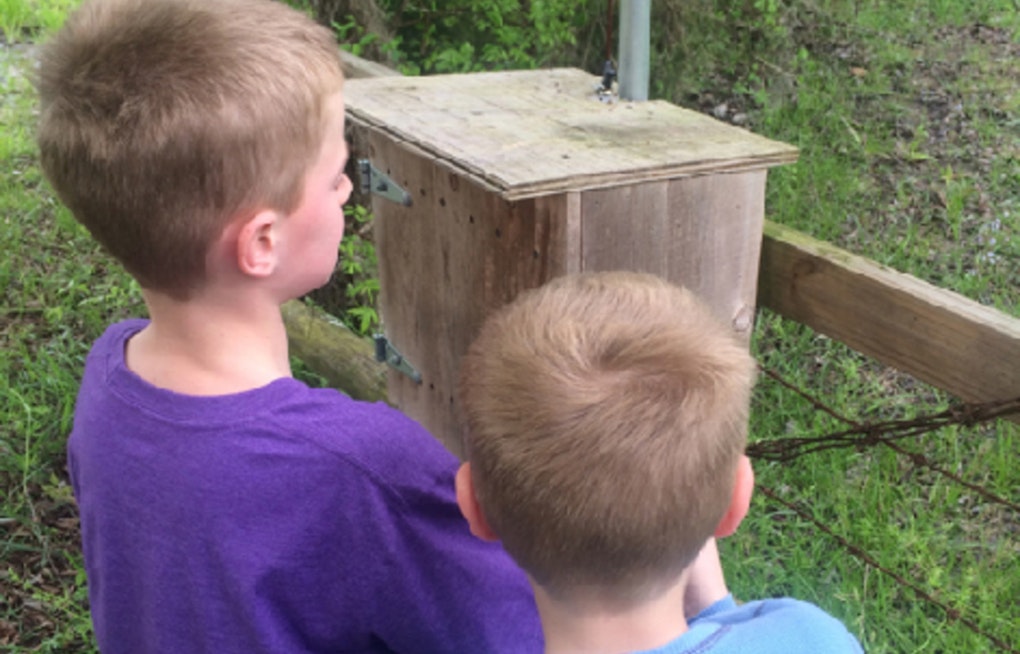 Spring Lake Regional Park to Host Family-Friendly Geocaching Adventure Celebrating Minnesota's Insects