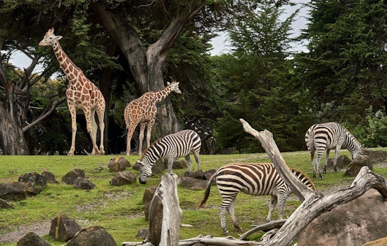 St. Paul's Como Park Zoo Hosts 'Party for the Planet' in Celebration of Earth Day