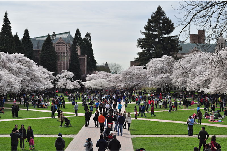 Student Protesters at University of Washington Demand Divestment, Joining Nationwide Pro-Palestinian Movement