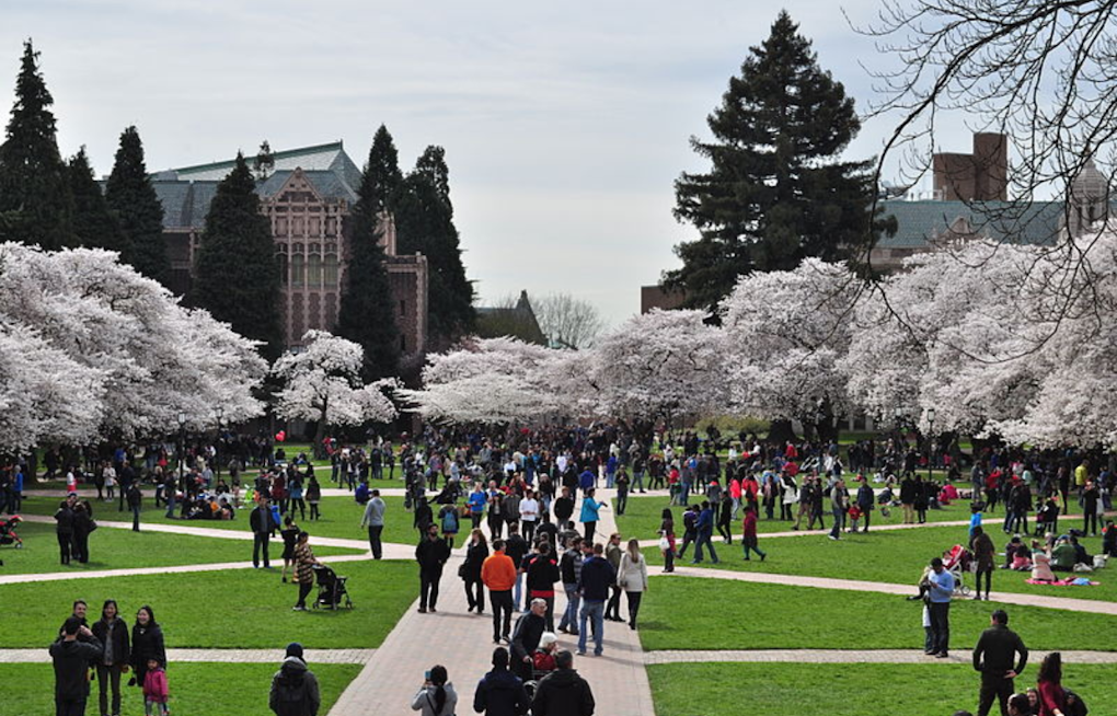 Student Protesters at University of Washington Demand Divestment, Joining Nationwide Pro-Palestinian Movement