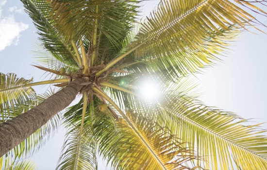 Sunshine Delights Miami and South Florida with Clear Skies and Gentle Breezes