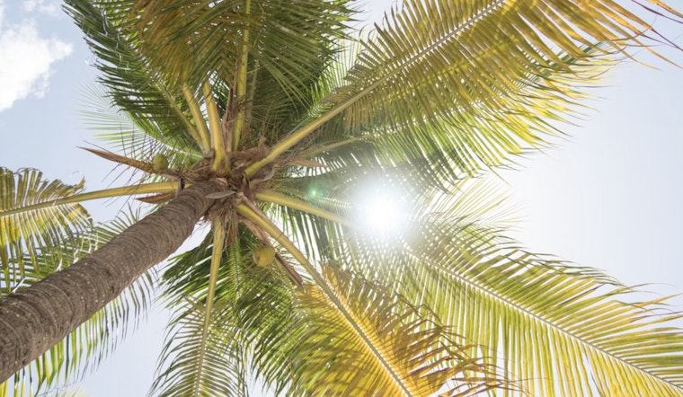 Sunshine Delights Miami and South Florida with Clear Skies and Gentle Breezes