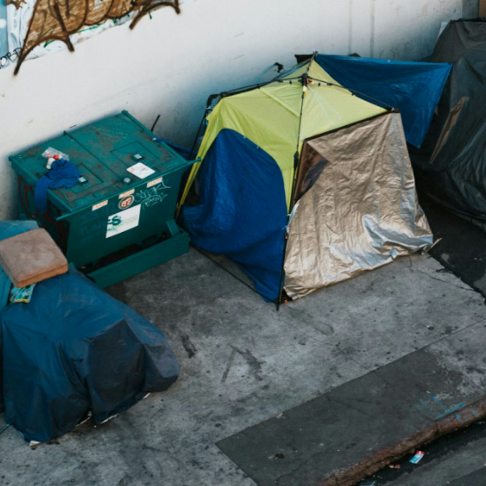 Supreme Showdown: High Court Grapples with Homeless Rights, National Laws Hang in the Balance