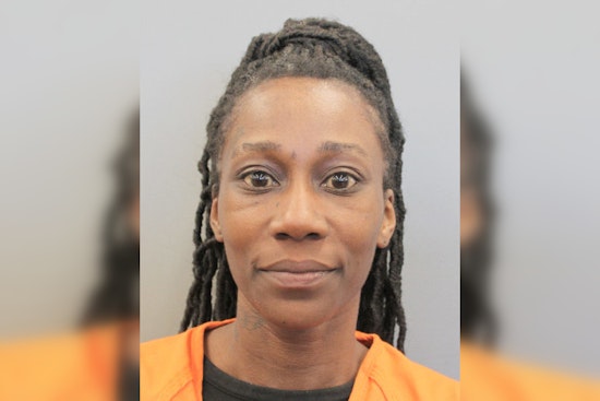 Suspect Arrested and Charged in Fatal Hit-and-Run on Houston's MLK Boulevard
