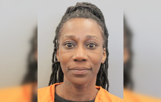 Suspect Arrested and Charged in Fatal Hit-and-Run on Houston's MLK Boulevard