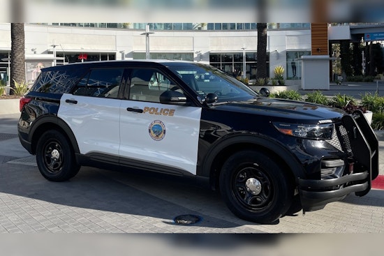 Suspected Serial Burglar Captured in Long Beach, Likely Linked to Thefts in Glendale and Torrance