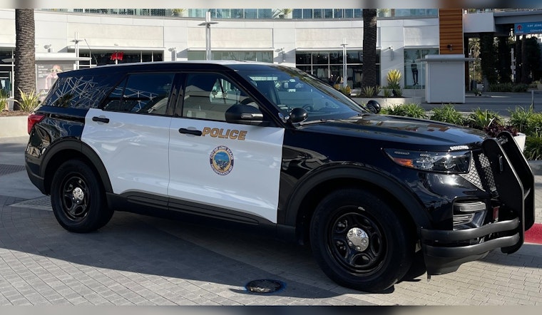 Suspected Serial Burglar Captured in Long Beach, Likely Linked to Thefts in Glendale and Torrance