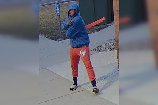 Suspected Vandalism in Mankato: 45 Trees and Fire Station #3 Targeted in Early Morning Rampage