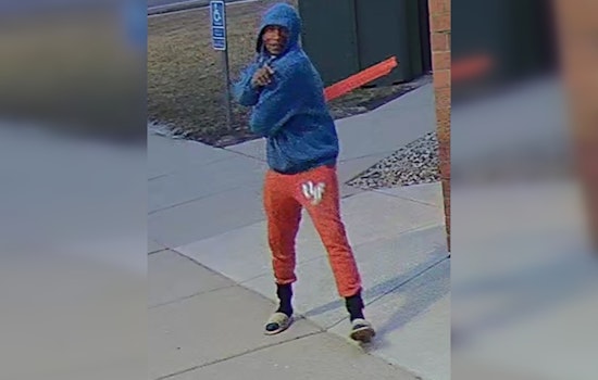 Suspected Vandalism in Mankato: 45 Trees and Fire Station #3 Targeted in Early Morning Rampage