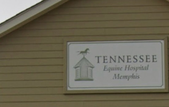 Tennessee Equine Health Advisory Commission to Meet Virtually on January 22, Aligning with COVID-19 Protocols