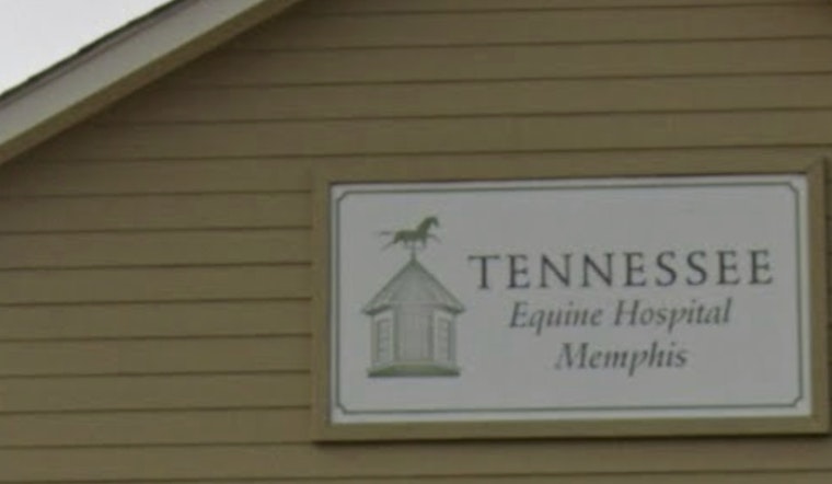 Tennessee Equine Health Advisory Commission to Meet Virtually on January 22, Aligning with COVID-19 Protocols