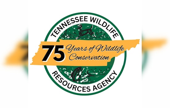 Tennessee Wildlife Agency to Merge Hunting, Fishing Guides in Cost-Saving Push