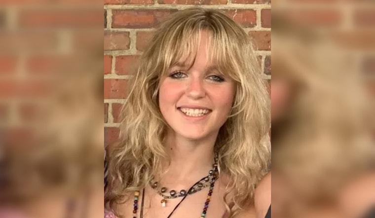 Tennessee's "Jillian's Law" Passes House, Targeting Gaps in Mental Health and Gun Ownership Rules