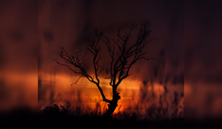 Texas House Committee to Conduct Hearings in Pampa Amid Panhandle Wildfire Scrutiny