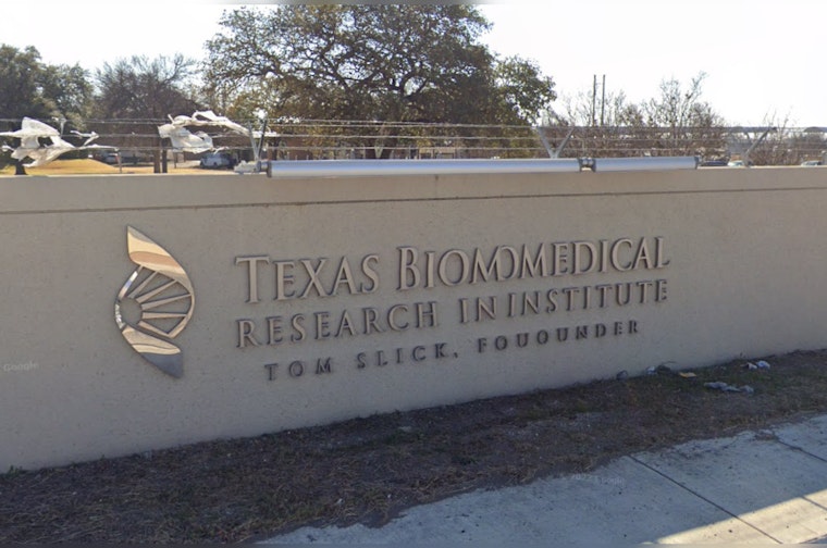 Texas Scientists Flock Together in Fight Against Deadly Bird Flu