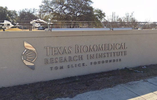 Texas Scientists Flock Together in Fight Against Deadly Bird Flu