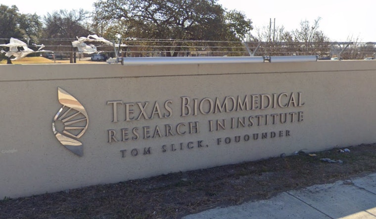 Texas Scientists Flock Together in Fight Against Deadly Bird Flu