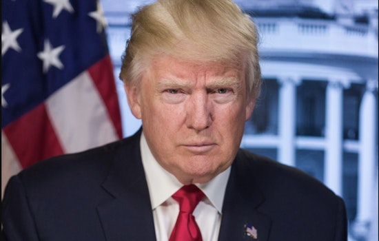 The Trump Trial Showdown, Ex-Prez Faces the Jury as 2024 Campaign Heats Up