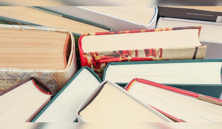 Top Entrepreneurship Books Offer Game-Changing Strategies for Business Leaders on Goodyear's Roundup