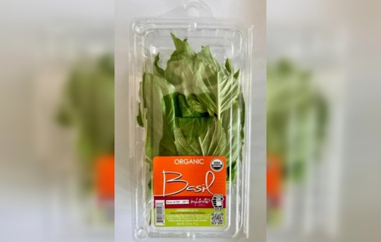 Trader Joe's Recalls Organic Basil in Multiple States, Including Tennessee, Following Salmonella Scare