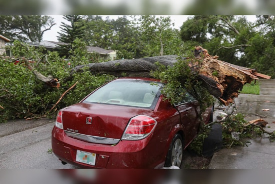 Tree Collapse on Route 8 in Washington Causes Traffic Havoc, MassDOT Issues Alert