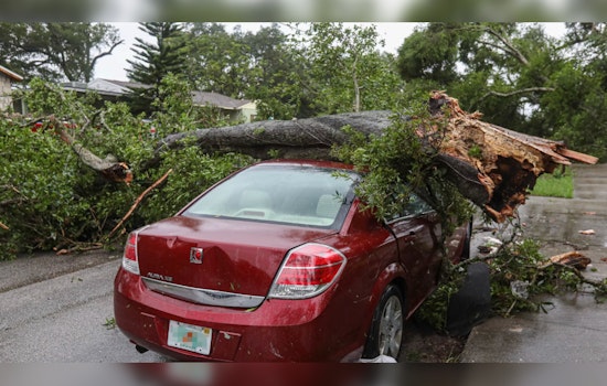 Tree Collapse on Route 8 in Washington Causes Traffic Havoc, MassDOT Issues Alert