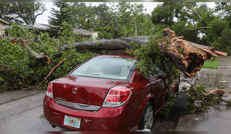 Tree Collapse on Route 8 in Washington Causes Traffic Havoc, MassDOT Issues Alert