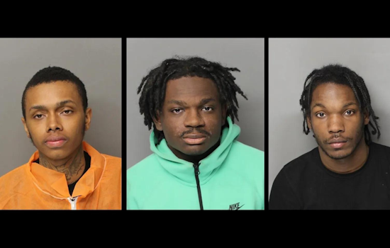 Trio Charged in Metro Detroit Car Theft Spree, Illegal Firearms Seized in Allen Park