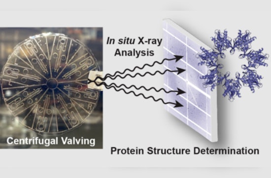 UMass Amherst Researcher Awarded $936K NIH Grant to Democratize Protein Analysis with Innovative Tech