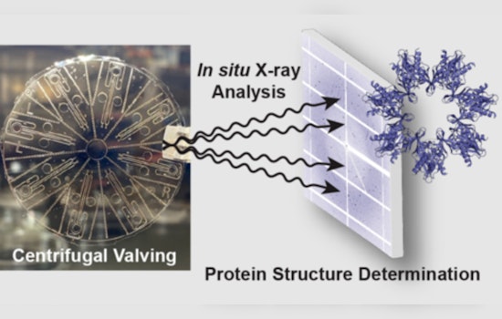 UMass Amherst Researcher Awarded $936K NIH Grant to Democratize Protein Analysis with Innovative Tech