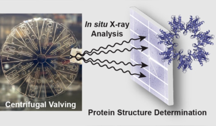 UMass Amherst Researcher Awarded $936K NIH Grant to Democratize Protein Analysis with Innovative Tech